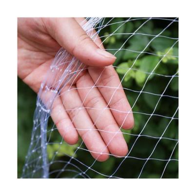 China Anti-bird Net Cat Garden Tree Agriculture Protect Net Nylon Monofilament Anti Bird Netting for sale