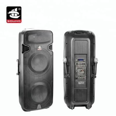 China Yes PS-12212BT-WB dual 12 inch trolley portable speaker box plastic/ABS with BT and USB/SD mp3 player for sale