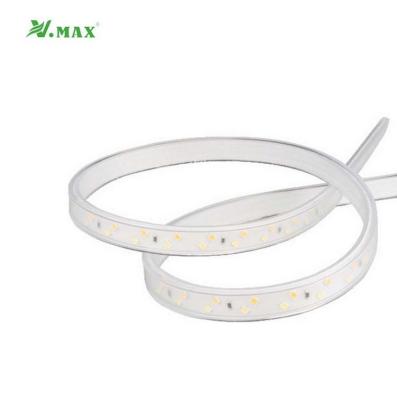 China Garden Park/Street/Pavement/Lane/Parking/Private Road Vmax 220V Smart RGB Flexible Lightweight Waterproof ip65 Led Strip Lights With Outdoor for sale