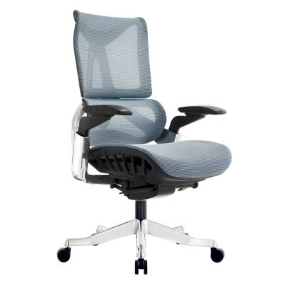 China Factory Direct Sales Adjustable Ergonomic Computer Mesh Swivel Adjustable Office Chair (Size) for sale