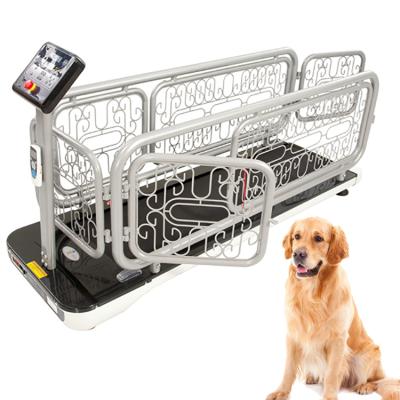 China Dog Treadmill Walking Machine Pet Treadmill For Dogs Cat Treadmill 460*1770mm for sale