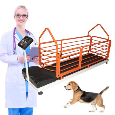 China iron treadmill dog treadmill for sale the dog treadmill pet for sale