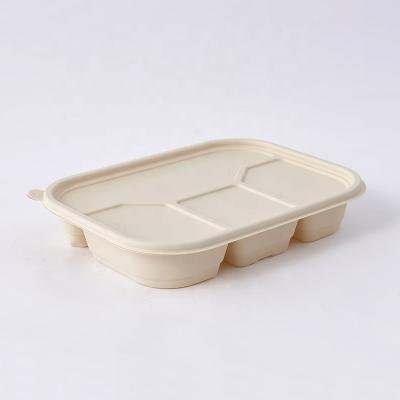 China Degradable Viable Food Packaging For Disposable Bento Box In Stock Cornstarch Compostable Tableware Food The Four Compartments for sale