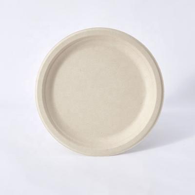 China Sustainable Biodegradable 9 Inch Food Sugarcane Bagasse Dish And Cutlery Eco Friendly Disposable Tableware Dish Renewable Tray for sale