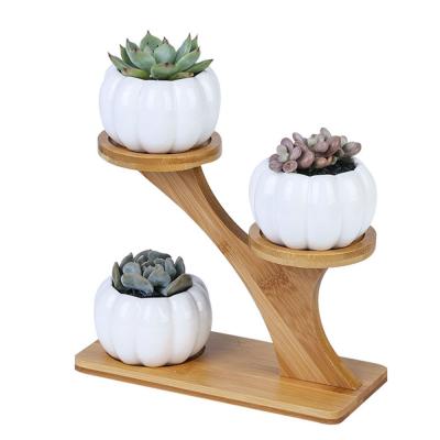 China Indoor Office Mini Desk Decoration Modern Wear-resistant 3 Tier Plant Pot Modern Adorable Home Bamboo Stand for sale