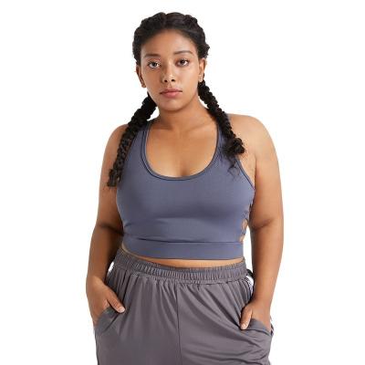 China LIFTJOYS Breathable Xxxxl Plus Size Quick Dry Breathable Summer Sports Hot Sexy Light Bra for sale