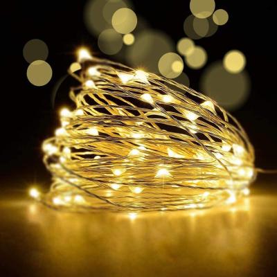 China Beautiful Copper Wire 200LED String Light Indoor and Outdoor Holiday Lights 8 Functions Remote Control for sale