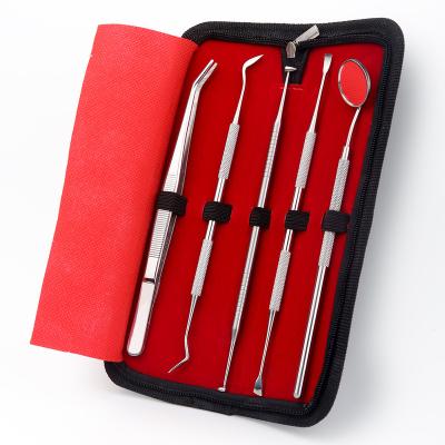 China Dental Pick Hygienic Healthy Non-Slip Dental Tartar Tool Set Hygiene Dentist Kits Dentist Remover Personal Handpiece for sale