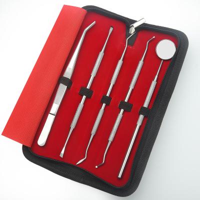 China 5 PCS Hygienic Healthy Non-slip Oral Dental Care Kit In Leather Bag Stainless Steel for sale