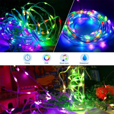 China 5m 10m App Control USB LED Leather Thread Lights String For Garden Tree Street Decor for sale