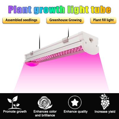 China 4ft 6ft 8ft Full Spectrum LED Light Strips V Shape Reflector LED Tube Grow Light for sale