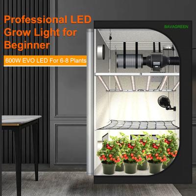 China BAVAGREEN 600W LED Grow Light Samsung LM301H EVO UV IR Control Commercial Bar Growing Lamp For 120x120cm Plant Tent en venta