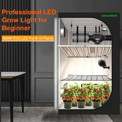 China BAVAGREEN 800W Samsung LM301H EVO Commercial Plant Lamp Full Spectrum UV IR LED Grow Light for Horticulture Greenhouse en venta