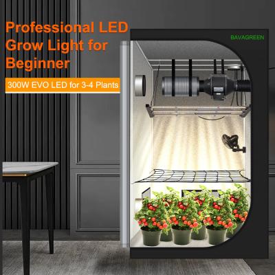 Chine BAVAGREEN 300W Samsung LM301H EVO Mint White LED Grow Light Full Spectrum UV IR LED Plant Lamp for 120x60 Growbox à vendre