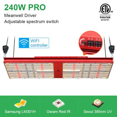 Cina bordo UV idroponico LM301H 240W V4 di Quantum delle luci progressive 2x4 385nm in vendita