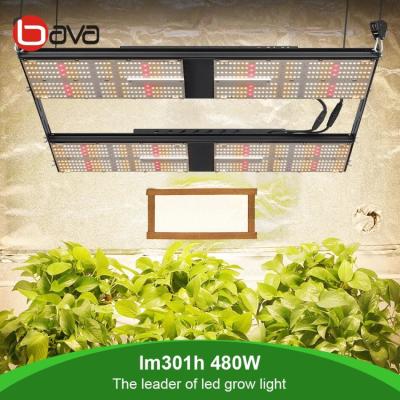 China CE Rohs Osram SSL SAMSUNG LM301H 3500k Greenhouse Grow Lamps for sale