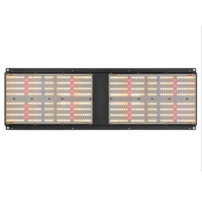 China Crezca el tablero de la tienda 2x4 SAMSUNG Quantum que LM301B LED crecen 240 vatios ligero en venta