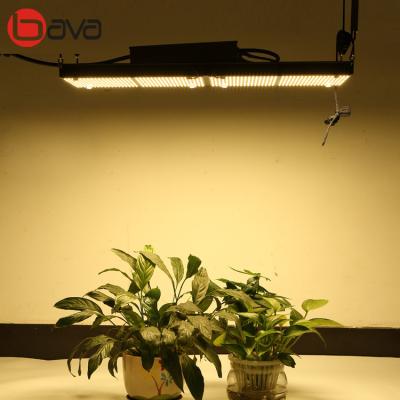 China 3500K 285*165mm PCB LM301B LED Grow Light Meanwell Driver for sale