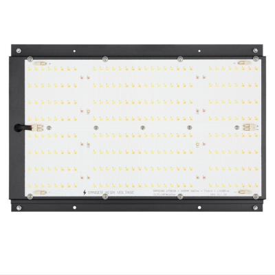 Chine IP20 imperméable 2x4 IR UV LED élever le panneau léger de SAMSUNG 301b Quantum à vendre