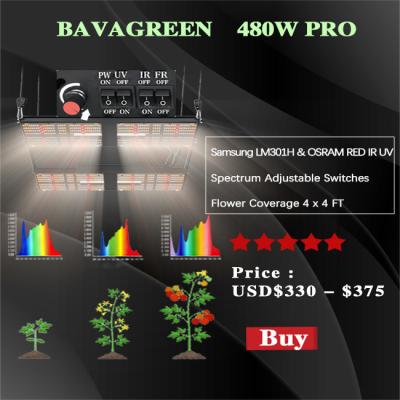 China 480W SAMSUNG QB288 V3 LM301H Full Spectrum LED Grow Lights CETL for sale