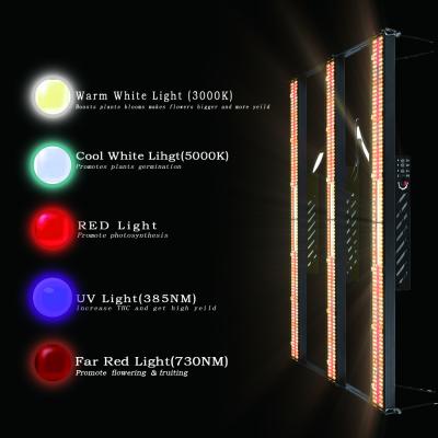 China 600w 1560umol/s llevados crecen luces obstruyen el espectro completo 730nm para los bonsais en venta