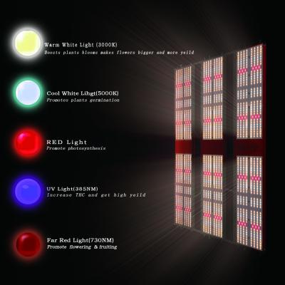 중국 Uv 385nm LM301H LED 성장 라이트 ETL 720w 1872umol/S 4 스위치 판매용