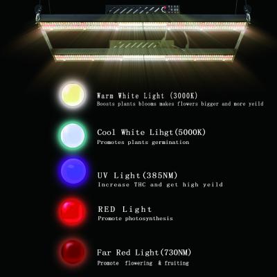 China Geleid Waterdicht van 2.45Umol/J 400w kweekt Licht 5000k-Dob Volledig Spectrum Te koop