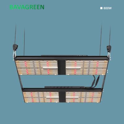 China Bavagreen480w de LEIDENE Raadslm301h 4x4 Dimmable Volledig Spectrum van SAMSUNG Te koop