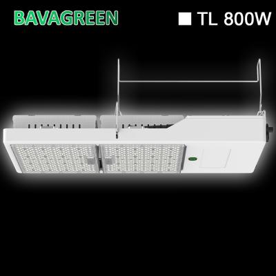 China 800W SMD3535 LED comercial crecen las luces para las hierbas de las flores de las verduras en venta