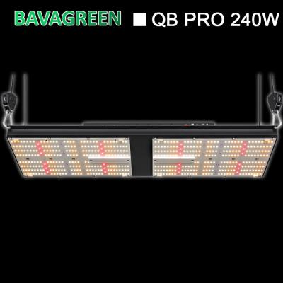 China 24pcs la planta médica LM301H LED crece el espectro ajustable ligero Bavagreen 240W en venta