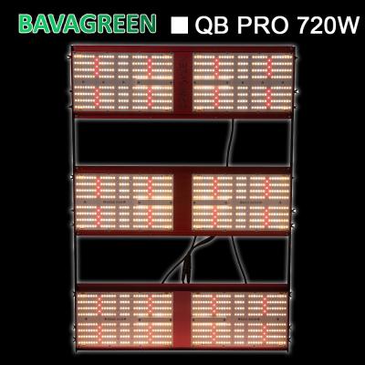 China QUARTERBACK 720w Quantum IP20 Bavagreen Osram 660nm Brett SAMSUNG LM301B zu verkaufen