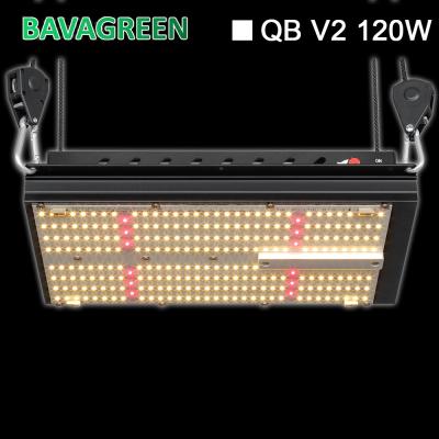 China Bava Greenhouse Grow Lamps Samsung Lm301b SAA Led Vertical Grow Light for sale