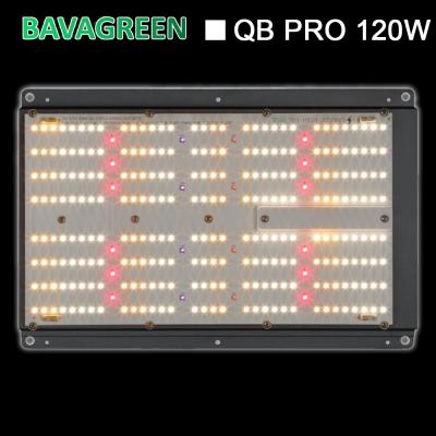 Κίνα Οι κβαντικές οδηγήσεις πινάκων Qb288 LM301H Dimmable BAVAGREEN 120W γίνονται ελαφριές προς πώληση