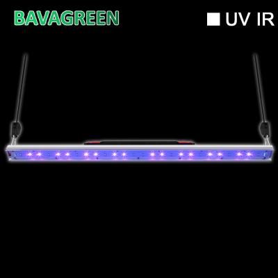 China 30w Uvb UVA Led Grow Light Bar bloom booster Supplemental light For Indoor Plant for sale