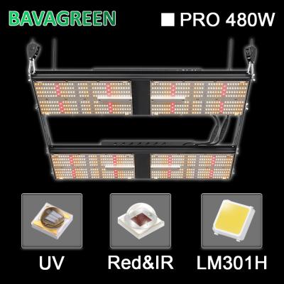 China Indoor 1248Umol/S 4x4 SAMSUNG LM301H Grow Light V4 For Vegetables for sale