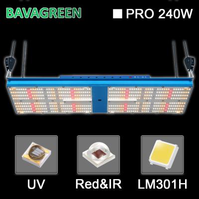 Cina Il bordo 2700k 240W LED di BAVA Quantum coltiva UV rosso-chiaro per la pianta medicinale in vendita