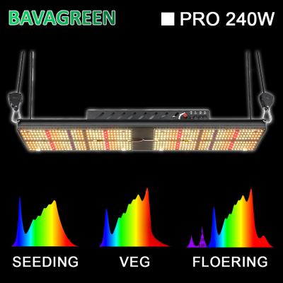 China Tablero hidropónico 624umol/S de BAVAGREEN Seúl 385nm 240W SAMSUNG LM301H Quantum en venta