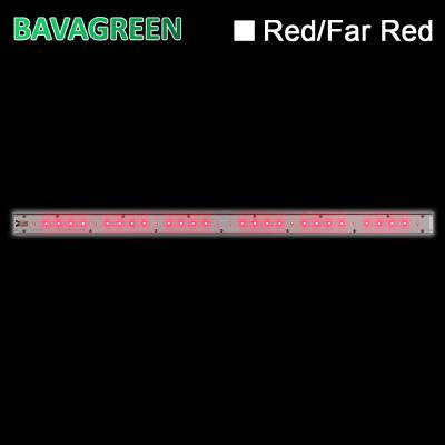 중국 660nm 730nm Red Far Red Bloom Booster Grow Light Bavagreen IR 판매용