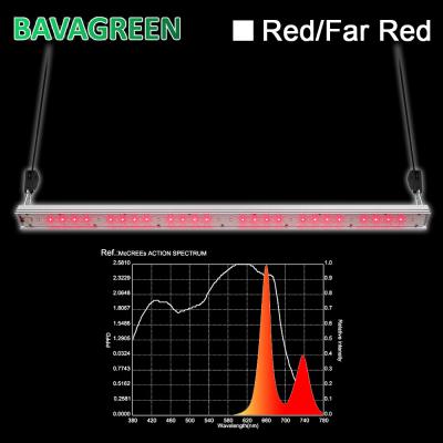 Chine ETL 730nm 660nm IR qu'UV LED élèvent 30W léger a mené d'intérieur élève des lumières à vendre