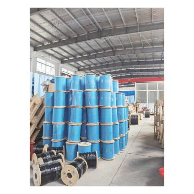 China Fitness Equipment PVC Coated Steel Core Tension Wire 500' 3/32-5/32 Coated Galvanized Wire for sale