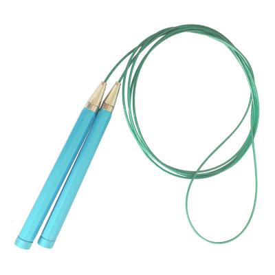 China Adjustable Fitness Jump Rope 3m Training Cable Jump Ropes Gym Exercise Cable Steel Wire Rope for sale