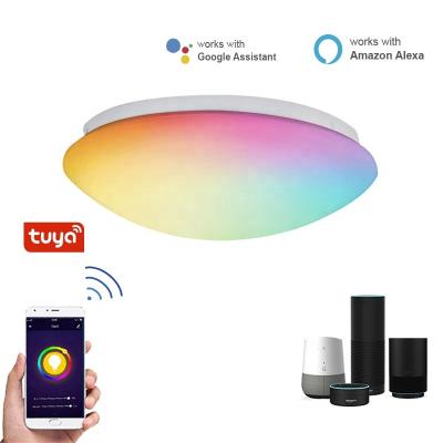 China Modern Smart Multicolor WiFi Ceiling Light 12W 24W Ceiling Lamp For Living Room Bedroom Controlled By Smart Phone Tuya LED Bulb for sale