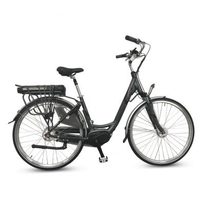 China Hot Selling Aluminum Alloy Electric Bike 12inch Electric Bike Portable Folding Electric Bikes for sale