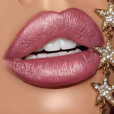 China Private Label Wholesale Waterproof Liquid Metallic Lipstick Glitter Vegan Long Lasting Metallic Lipstick for sale