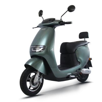 China Carbon Fibre Cenbird New design  Electric Scooter Eec Lead acid Battery 1000w Motor Two Wheel Electric Scooter for sale