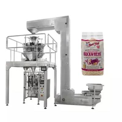 China High Speed ​​Automatic Food Apple Sachet Slices Salad Frozen Food Chicken Nuggets Packaging Machine for sale