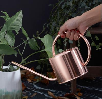 China New Product Stainless Steel Watering Box Luxury Metal Garden Watering Tools For Outdoor Or Indoor Plants for sale