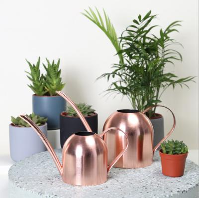 China Luxury Golden Stainless Steel In Copper Color For Indoor And Outdoor Watering Cans High Quality Metal for sale