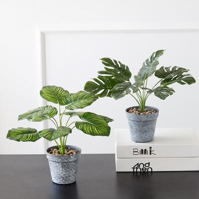 China High quality ins-background-backing-home decoration deskto faux plants artificial plastic style home decor fixtures design contemporary for sale