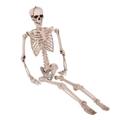 China Durable Newcomer Haunted House Props Party Halloween Prop Plastic Skeleton Hanging Full Body Halloween Realistic Props Life Size for sale